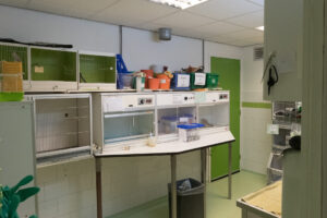 007-2020-10-23 Vogelopvang