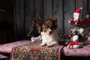 Kerstkaart