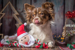 Kerstkaart