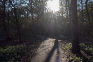 013-2020-11-09 Vriend! Meer en Bos