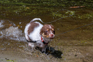 Vriend! in Meer en bos 2