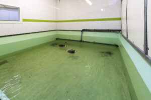 018-2020-10-23 Vogelopvang
