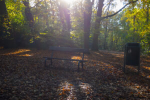 018-2020-11-09 Vriend! Meer en Bos