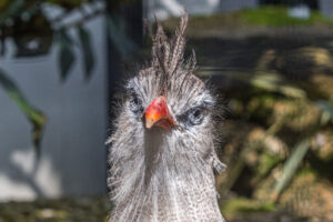 019-2020-09-29 Artis