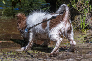 Vriend! in Meer en bos 2