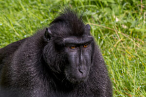024-2020-09-29 Artis