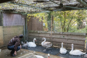 026-2020-10-23 Vogelopvang