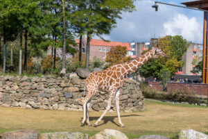 033-2020-09-29 Artis