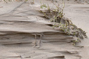037-2020-09-27 Strand