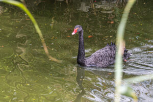 038-2020-09-29 Artis