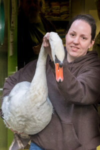 044-2020-10-23 Vogelopvang