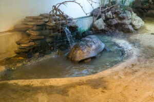 050-2020-09-29 Artis