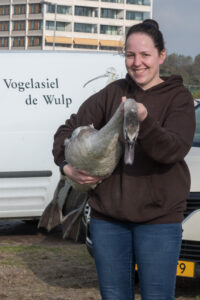 050-2020-10-23 Vogelopvang