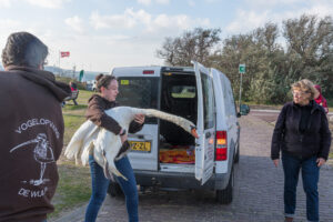 064-2020-10-23 Vogelopvang