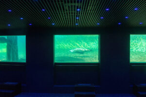 070-2020-09-29 Artis
