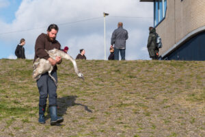 074-2020-10-23 Vogelopvang