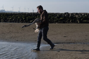 075-2020-10-23 Vogelopvang