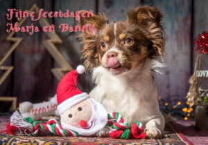 Kerstkaart Vriend-EXPORT
