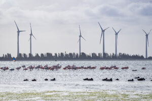 001-2018-10-23 Zeeland