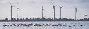002-2018-10-23 Zeeland