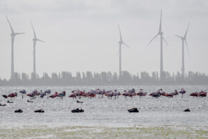 003-2018-10-23 Zeeland