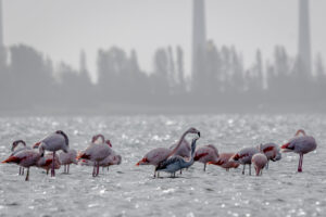 004-2018-10-23 Zeeland