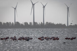 008-2018-10-23 Zeeland