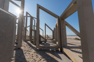 009-2018-09-02 Maasvlakte met Iris
