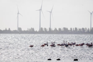 009-2018-10-23 Zeeland