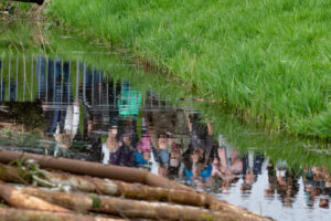 010-2018-04-15 Dansende Koeien