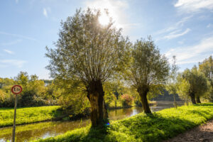 010-2018-10-14 Zoetermeer