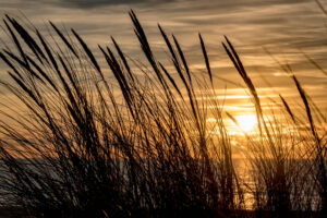 010-2018-10-17 Maasvlakte