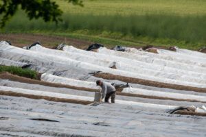 010-2019-05-28 Jaegershof