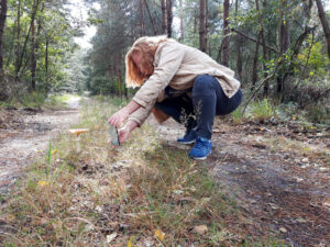 011-2019-10-04 Richting Veluwse Bron