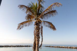 011-2019-12-09 Weekje Lanzarote