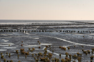 012-2018-09-27 Ameland