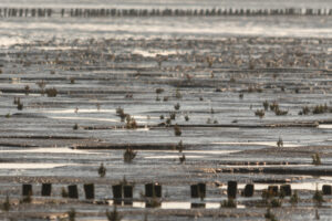 013-2018-09-27 Ameland