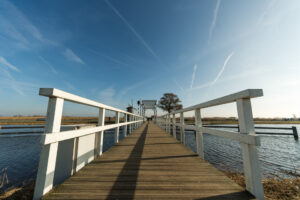 013-2019-02-23 Kinderdijk