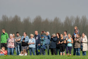 014-2018-04-15 Dansende Koeien