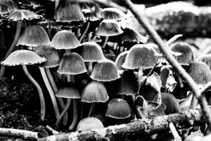 015-2018-10-14 Zoetermeer