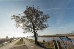 015-2019-02-23 Kinderdijk