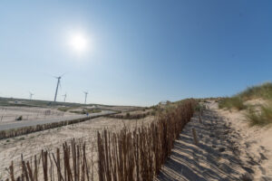 016-2018-09-02 Maasvlakte met Iris
