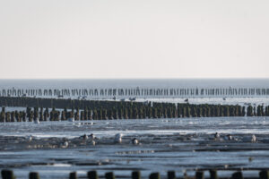 017-2018-09-27 Ameland