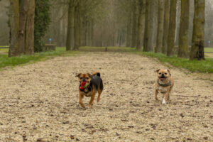 023-2019-03-23 Weekendje weg