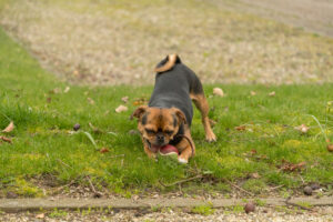 024-2019-03-23 Weekendje weg