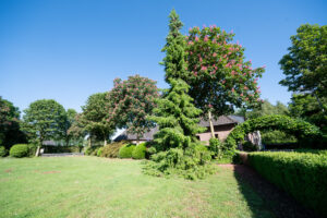 027-2019-05-29 Jaegershof