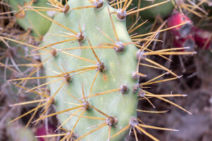 031-2019-12-09 Weekje Lanzarote