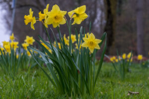 032-2019-03-23 Weekendje weg