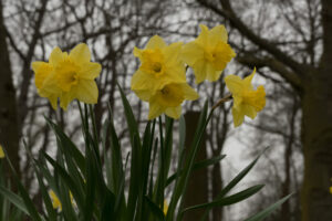 033-2019-03-23 Weekendje weg