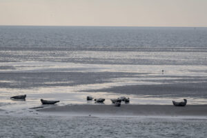 036-2018-09-27 Ameland